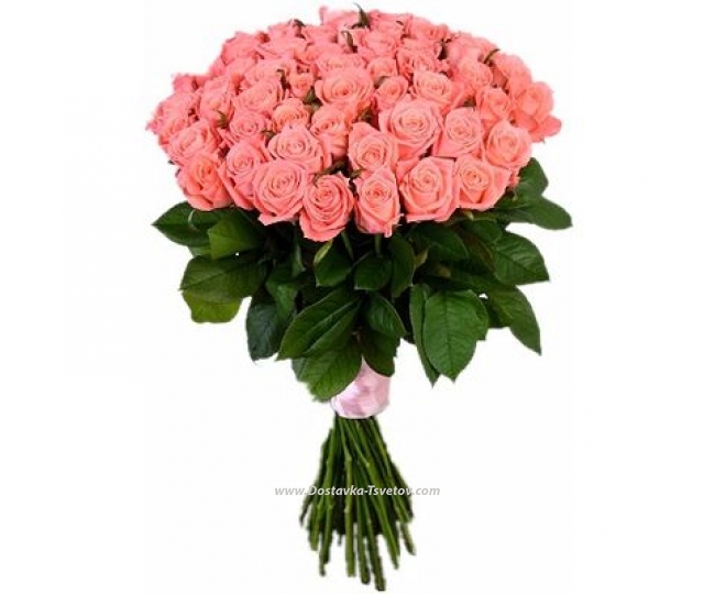Розы 51 розовая роза "Анна Карина"