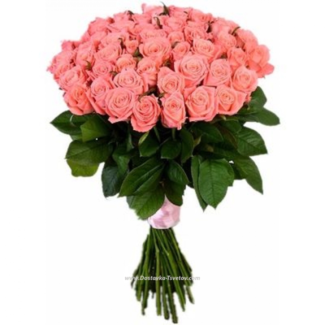 Цветы 51 розовая роза "Анна Карина"