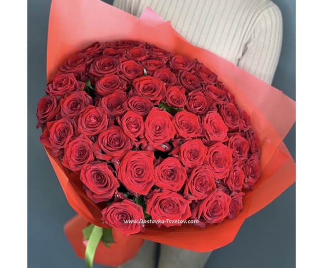 Розы Букет "Венера" из красных роз 51 штука
