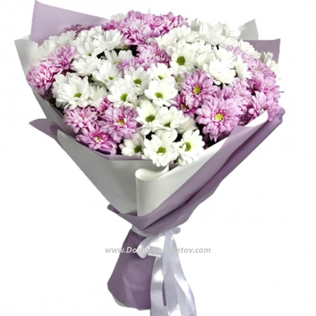 Хризантемы Бело-розовый букет "Золушка"