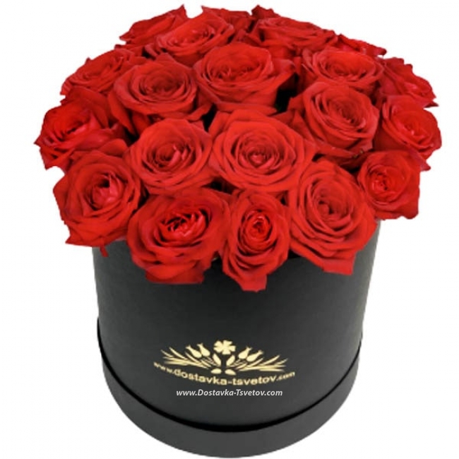 Коробка красных роз "Дория"