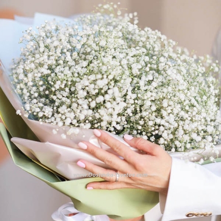 Gypsophila Букет гипсофил "Белая гора" Gypsophila Букет гипсофил "Белая гора"
