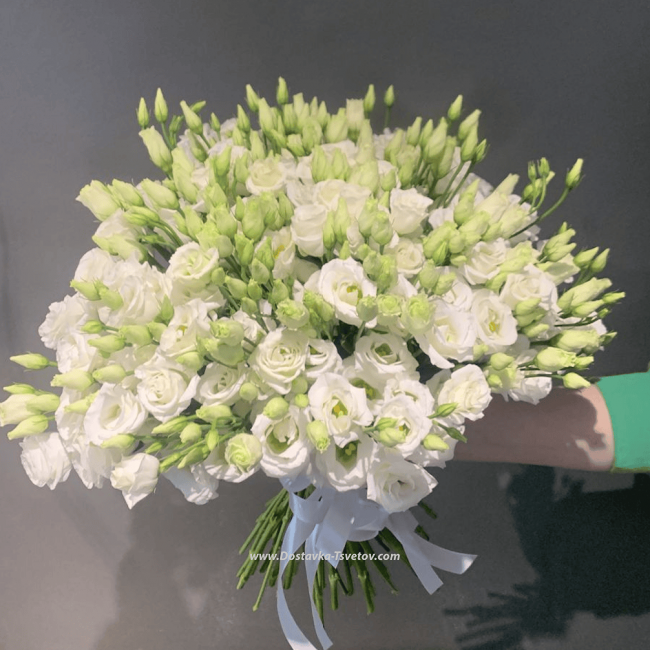 Цветы Белый лизиантус "Пломбир"