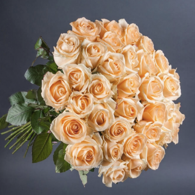 Цветы 51 кремовая роза "Пич Аваланж"