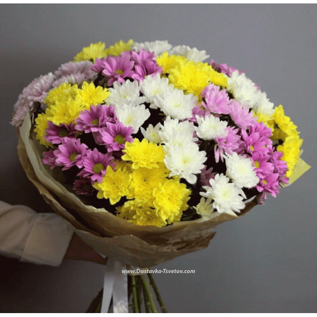 Цветы Букет разноцветных хризантем "Загадочное Утро"