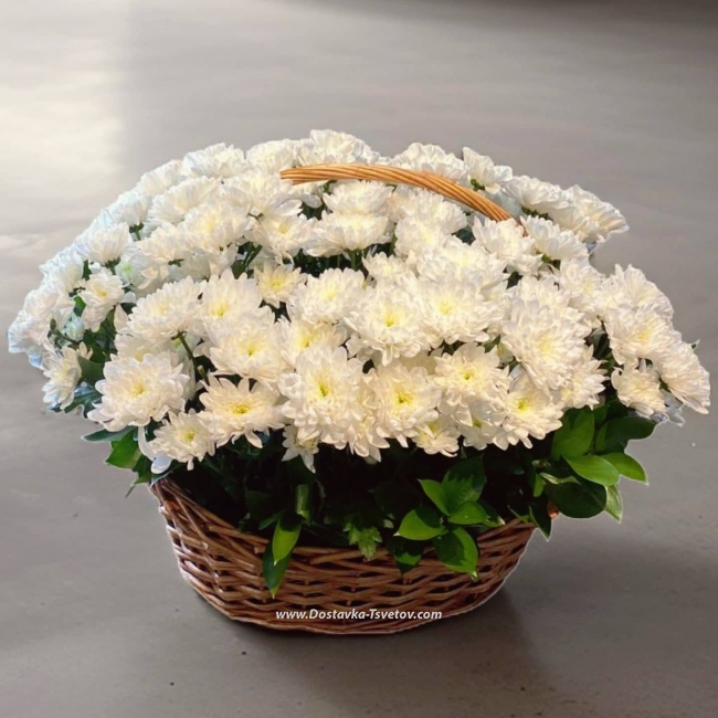 Цветы Хризантемы в корзине "Снежная Пора"