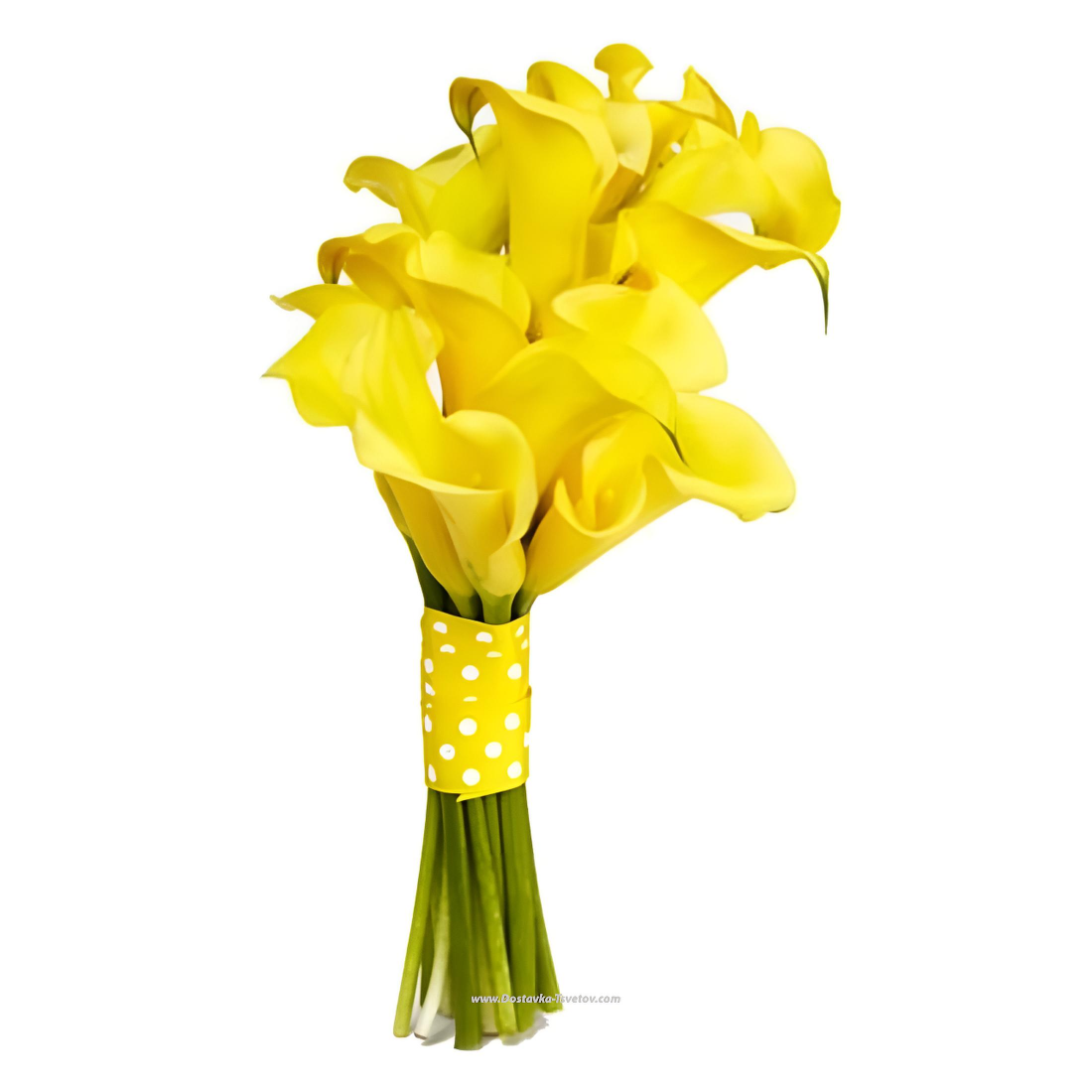 Букет желтых калл "Янтарная Калла" Букеты Букет желтых калл "Янтарная Калла"