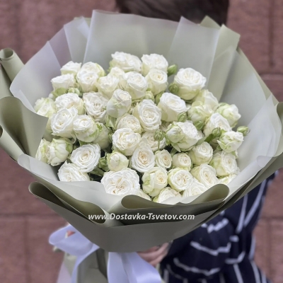 Кустовые белые розы "Сноуфлейк"