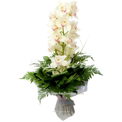 Букет из белой орхидеи "Атлантика"