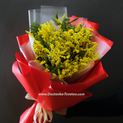 Мимоза "Теплота Чувств"