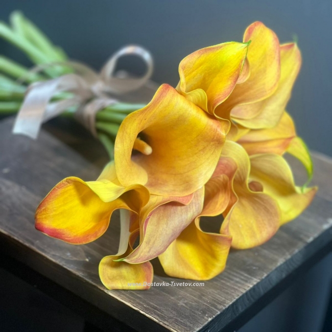 11 оранжевых калл - Фото #2