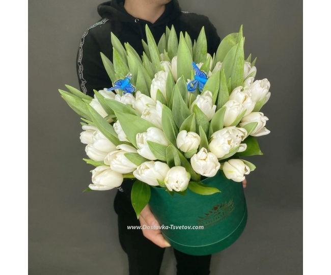 Тюльпаны Букет в коробке с 51 белым тюльпаном "Империя"