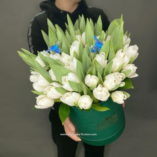 Тюльпаны Букет в коробке с 51 белым тюльпаном "Империя"