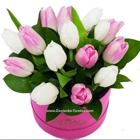 Tulips in a box Тюльпаны в коробке "Зефирка" Tulips in a box Тюльпаны в коробке "Зефирка"