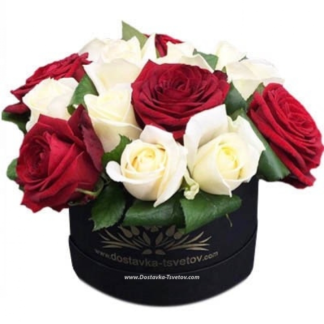 Цветы Красно-белые розы "Анабэль"