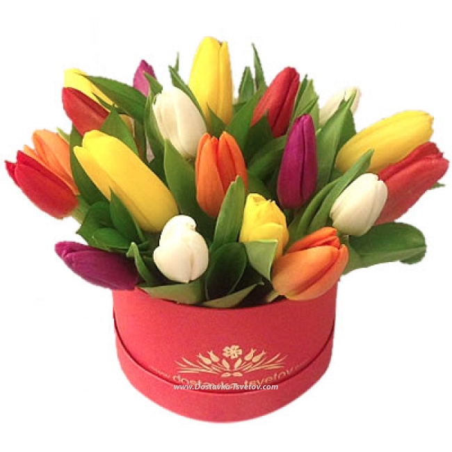 Цветы Разноцветные тюльпаны в коробке "Весенняя Радость"