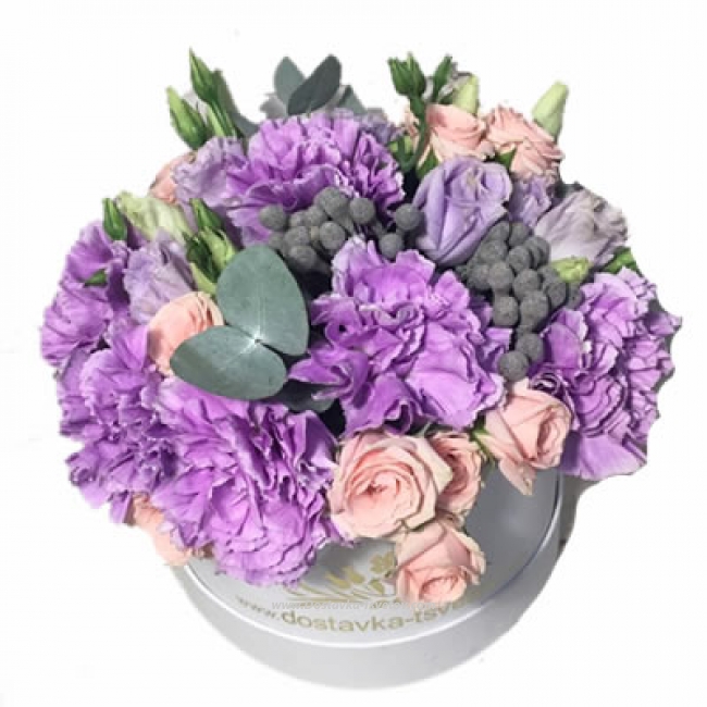 Цветы Фиолетовые гвоздики "Озарение"