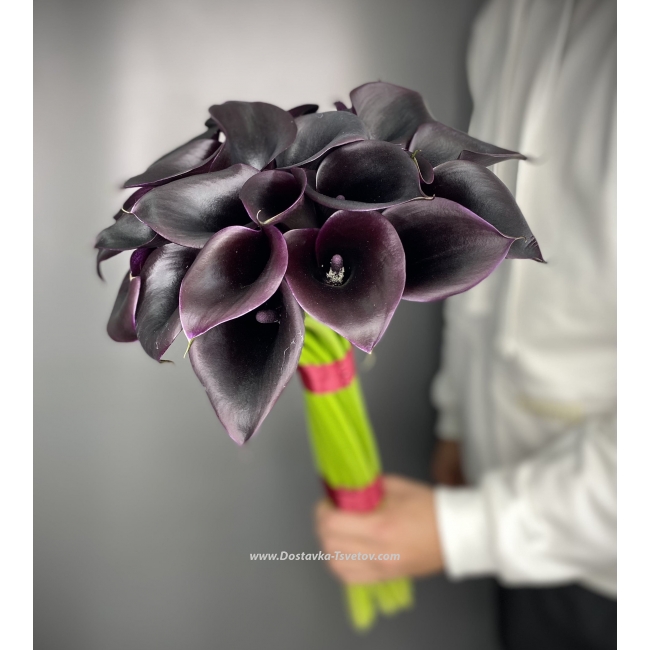 Цветы Букет из 27 чёрных калл