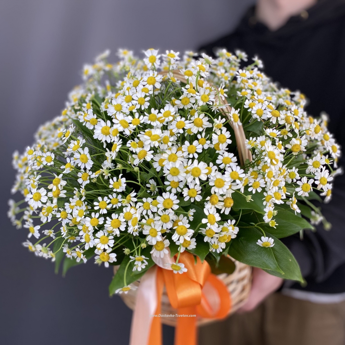 Ромашки Корзинка ромашек "Созвездие Ангела"