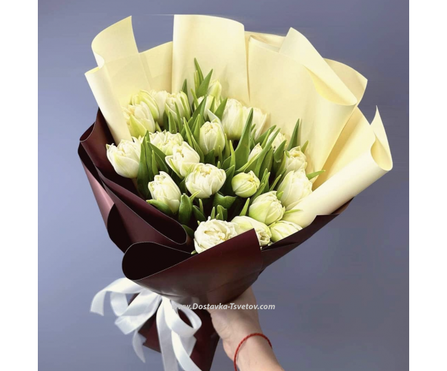 Цветы Пионовидные тюльпаны "Парижский Шик"