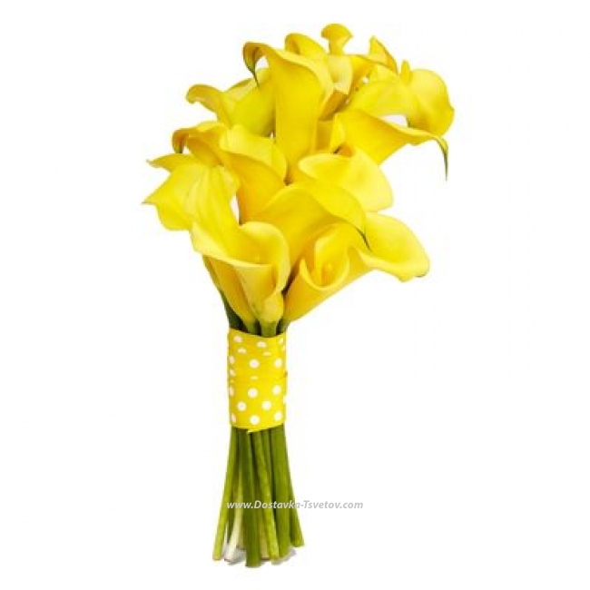 Цветы Жёлтые каллы "Янтарная Калла"