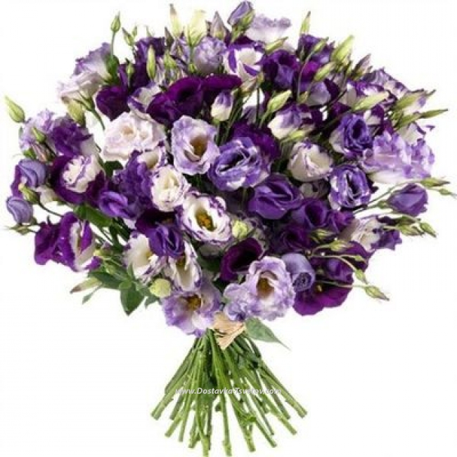 Цветы Фиолетовые эустомы "Иней"