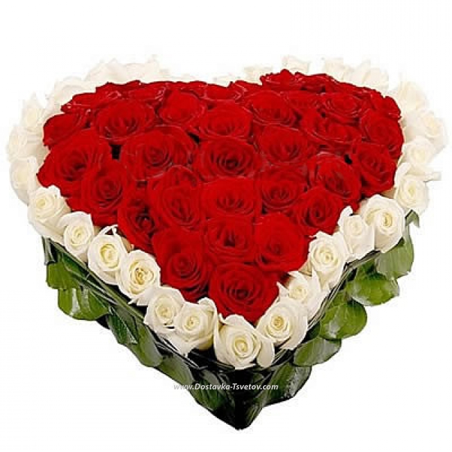 51 Роза Сердце из красных и белых роз "Пламя Любви"