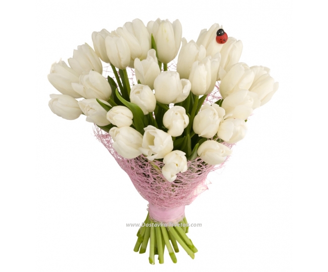 Тюльпаны Белый букет "Воздух Любви"