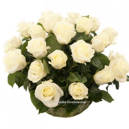 Roses Корзина белых роз "Эрмитаж" Roses Корзина белых роз "Эрмитаж"