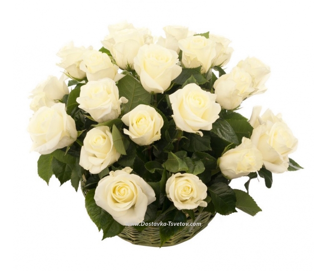 Розы Корзина белых роз "Эрмитаж"