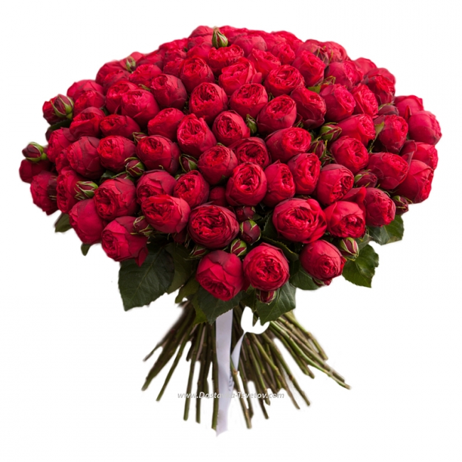 Пионовидные розы Солидный букет "Стук Сердца"