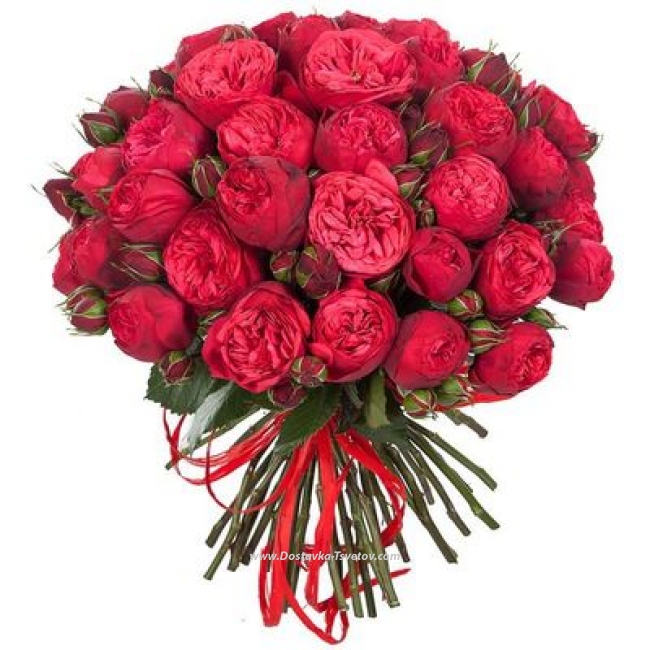 Цветы Букет пионовидных роз "Энергия Любви"