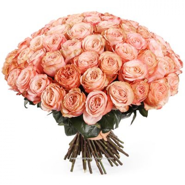 Пионовидные розы Букет пионовидных роз "Оникс"