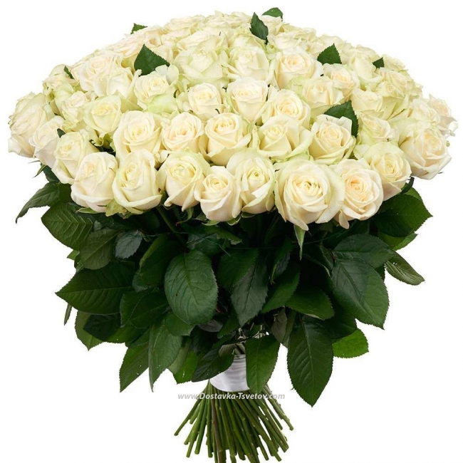 101 Роза Букет белых высоких роз "Белое Безмолвие"