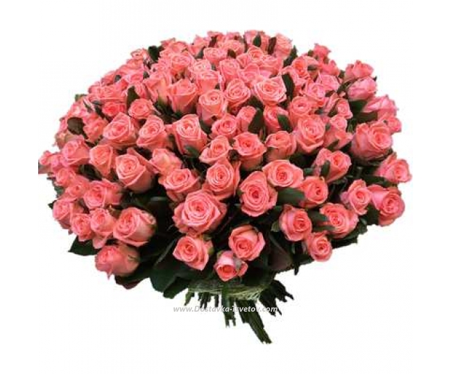 Розы Нежно-розовая 101 роза "Барбара"