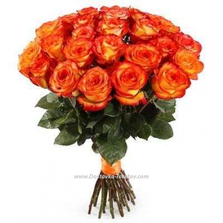 Роза Эквадор Рыжие розы "Чудеса Природы"