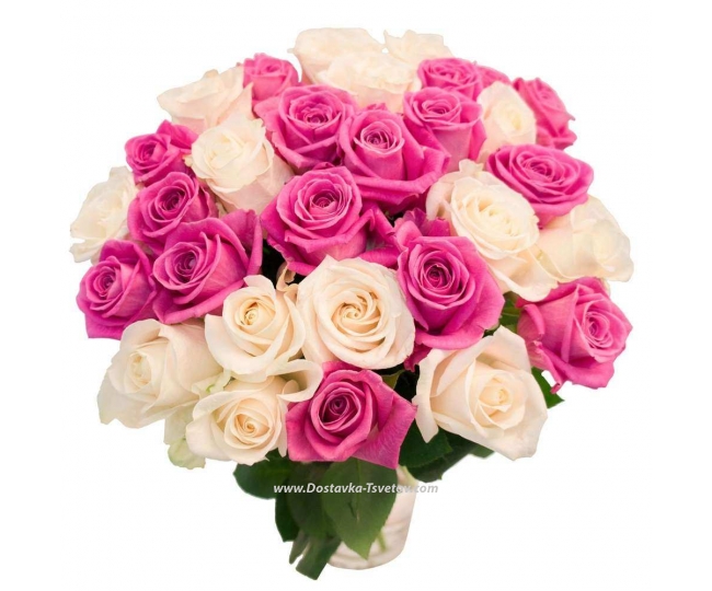 Розы Бело-розовые розы "Искушение"