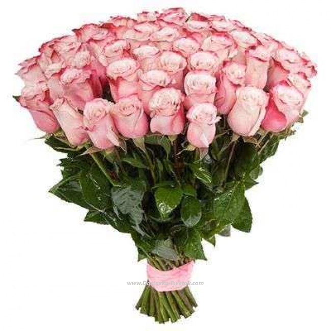 Роза Эквадор Эквадорские розы "Сладость"