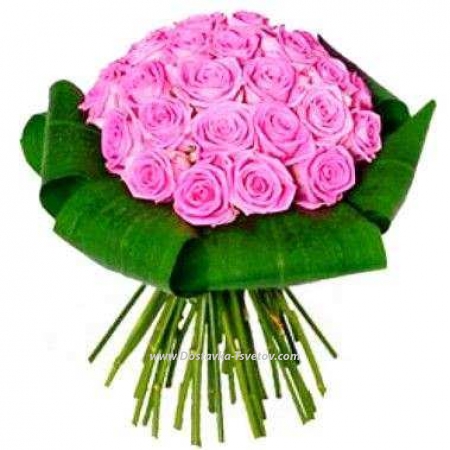 Pink roses Розовые розы с зеленью "Фея" Pink roses Розовые розы с зеленью "Фея"
