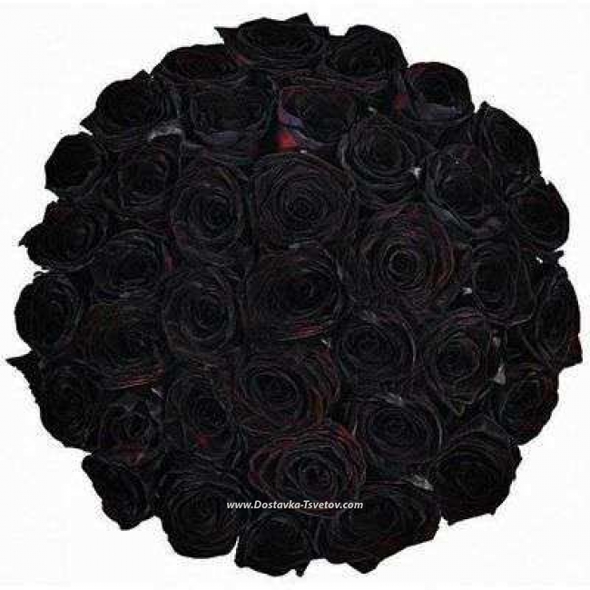 Цветы Букет роз "Чёрный Квадрат"