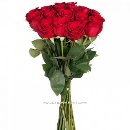 Red roses Высокие розы "Помада" Red roses Высокие розы "Помада"