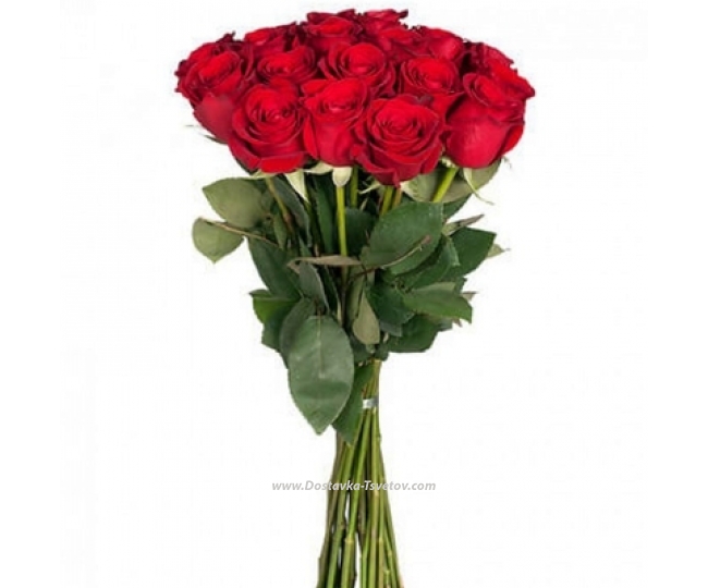 Красные Розы Высокие розы "Помада"