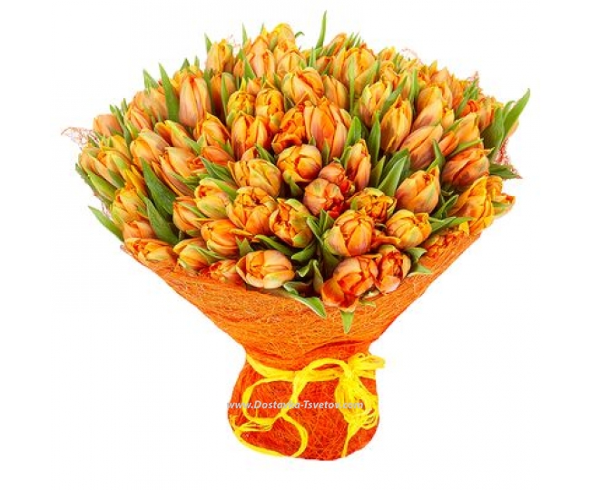 Пионовидные тюльпаны Оранжевые тюльпаны "Юпитер"