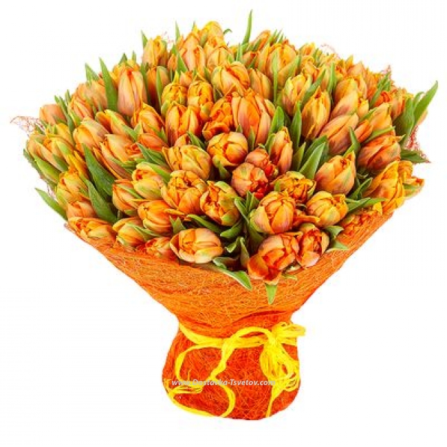 Пионовидные тюльпаны Оранжевые тюльпаны "Юпитер"
