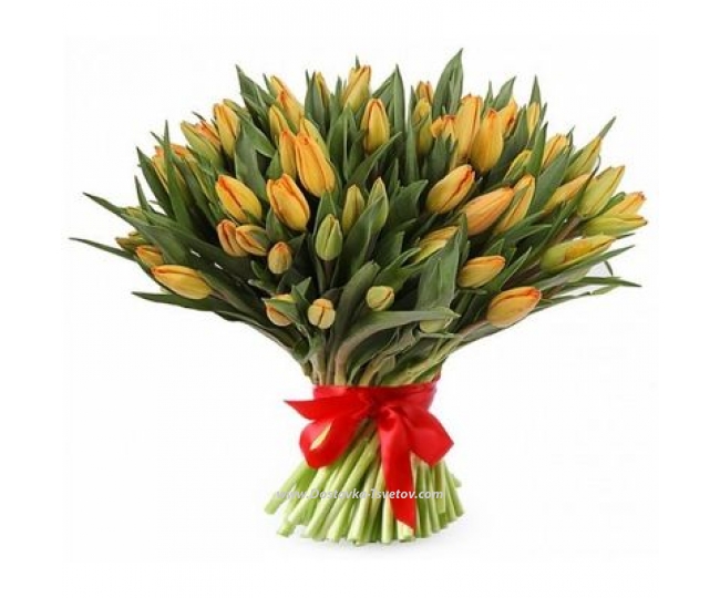 101 тюльпан Оранжевые тюльпаны "Абрикос"