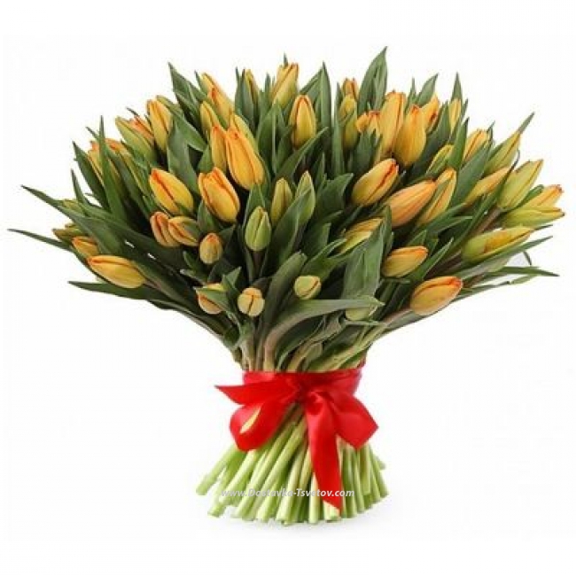 101 тюльпан Оранжевые тюльпаны "Абрикос"