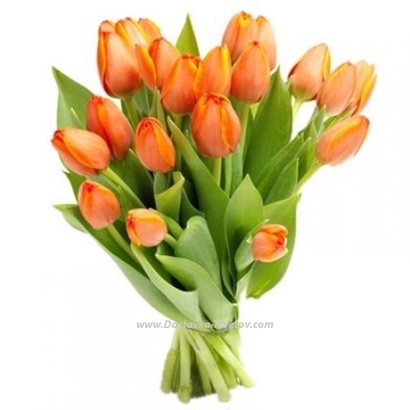 Оранжевые тюльпаны Оранжевые цветы "Мандарин"