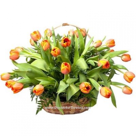 Красно-желтые тюльпаны Яркая корзина тюльпанов "Этна"