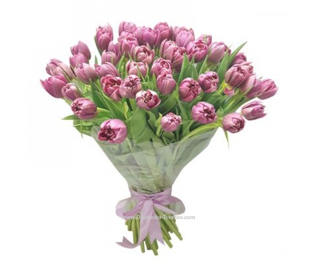 Фиолетовые букеты Тюльпаны пионовидные "Мудрец"