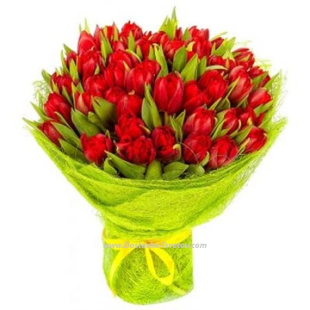 Tulips Пионовидные тюльпаны "Магма" Tulips Пионовидные тюльпаны "Магма"